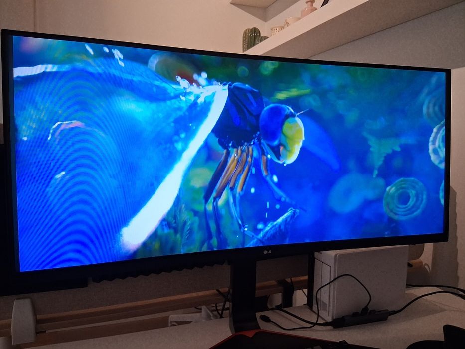 LG 34" Ultrawide Monitor