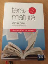 Teraz matura Język Polski Poziom podstawowy Vademecum z zadaniami