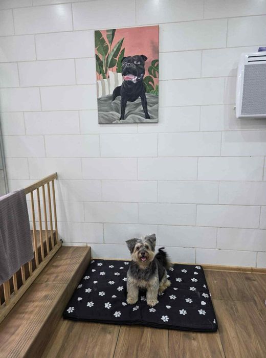 Legowisko dla dużego psa XXL 100x70 – wodoodporne, miękkie, wygodne