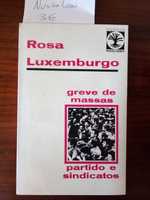 VENDIDO Greve de massas partidos e sindicatos - Rosa Luxemburgo.