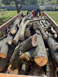 Drewno opałowe transport grube drewno
