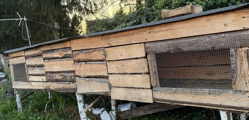 Klatki dla królików