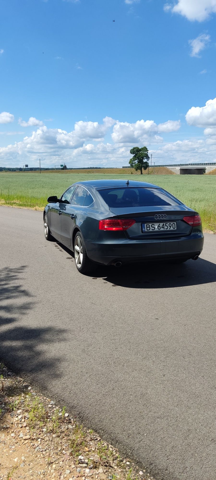 Audi A5 Sportback S-Line 2.7TDI 240 koni 2009r