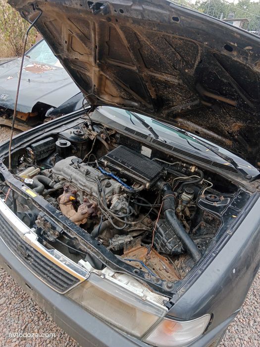 Запчастини Nissan Sunny B14 (1997) | Сумісні з Sentra, Almera, Pulsar