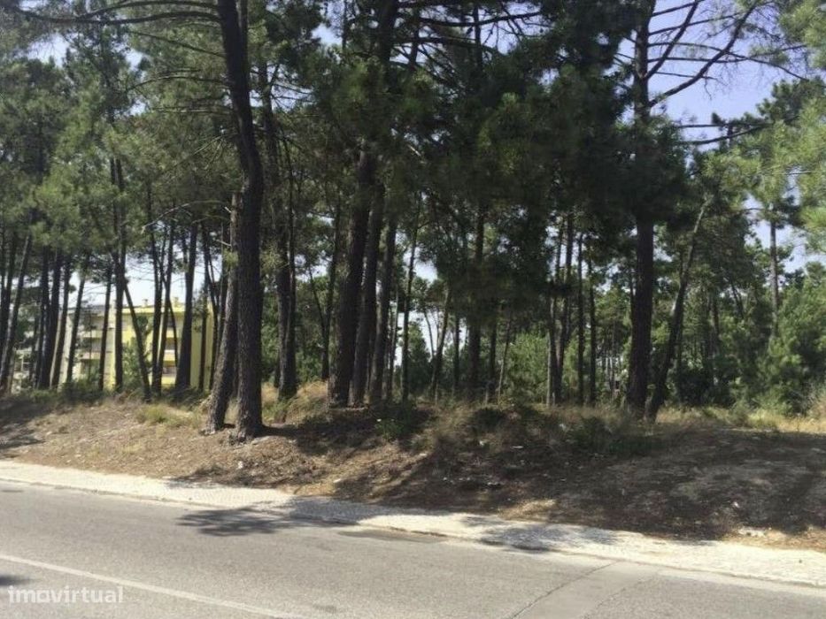 Terreno para construção de edifício de 4 pisos em Azeitão