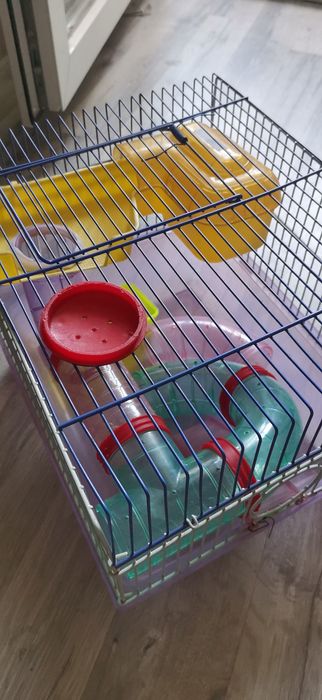 "хомячья мрія 2025" клетка аттракцион для грызунов