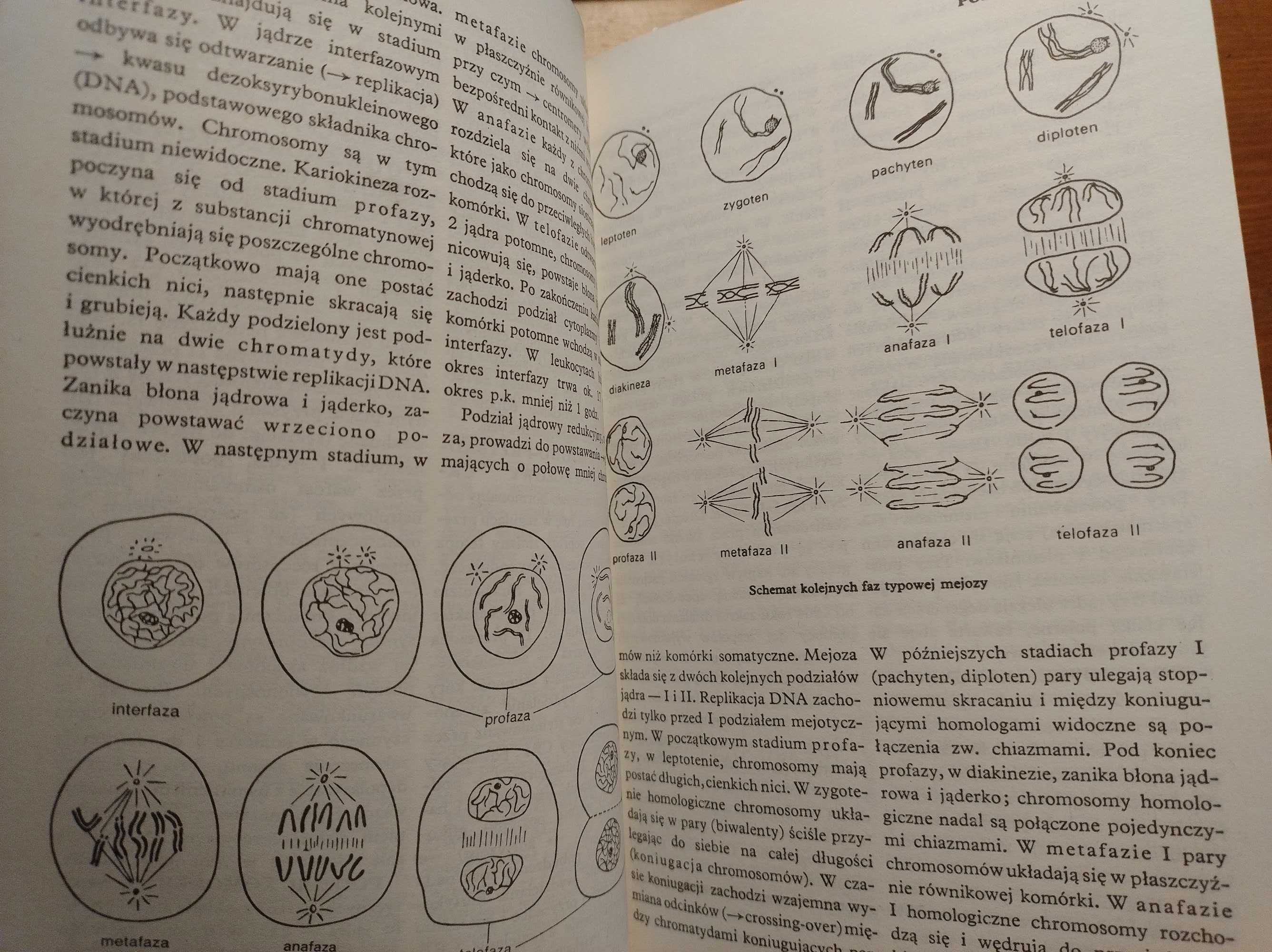 Mała encyklopedia medycyny tom 1,2,3