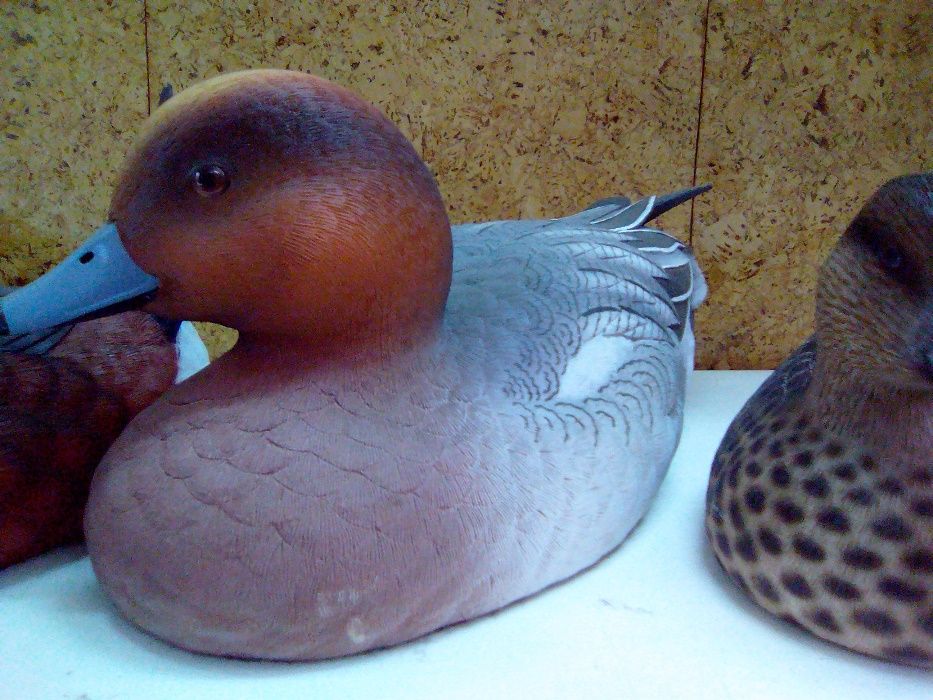 Patos artísticos Jules Bouillet