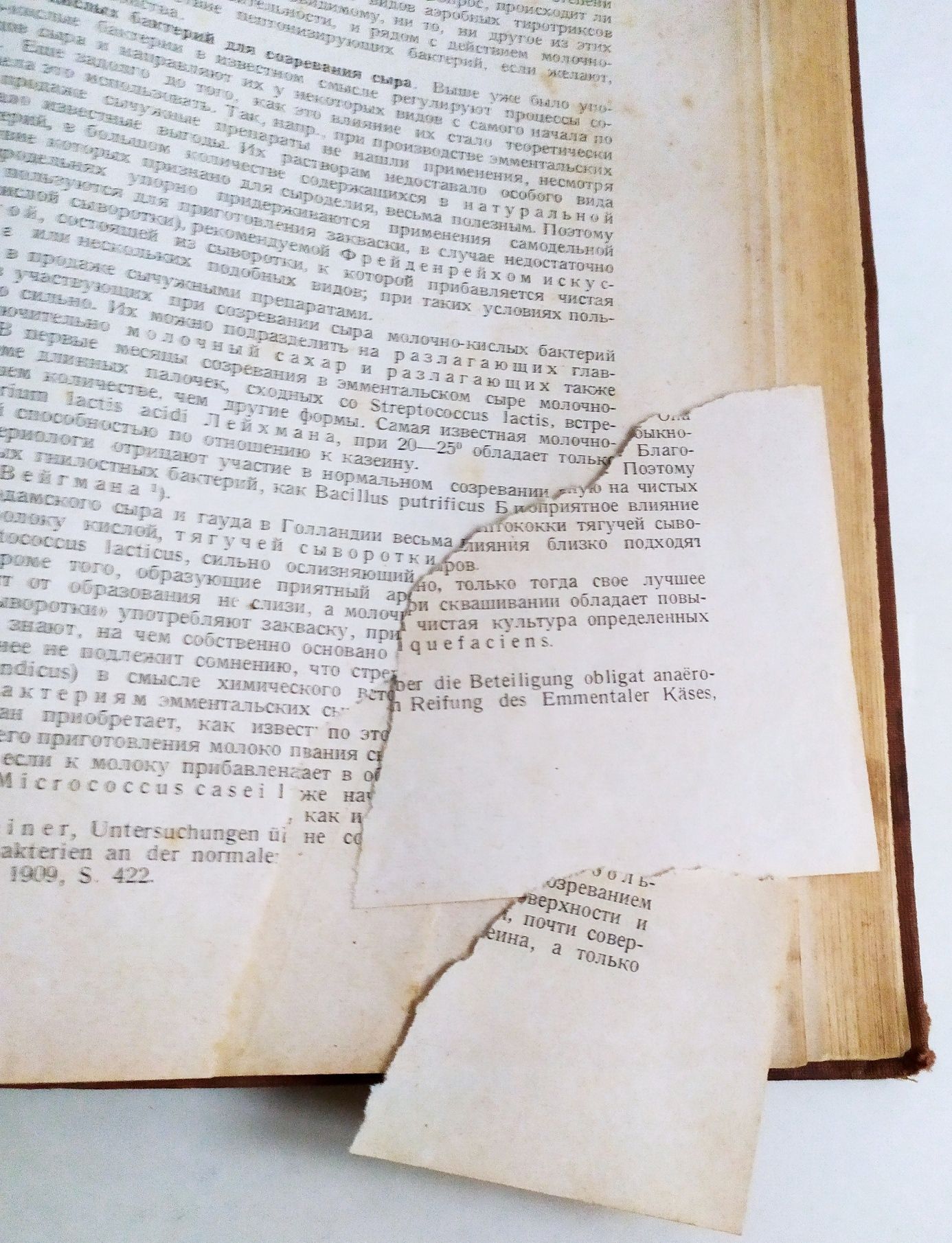 1927г. МОЛОКО и Молочное дело  руководство по сыроделие маслоделие