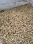 Owies worki Big Bag lub 20 kg