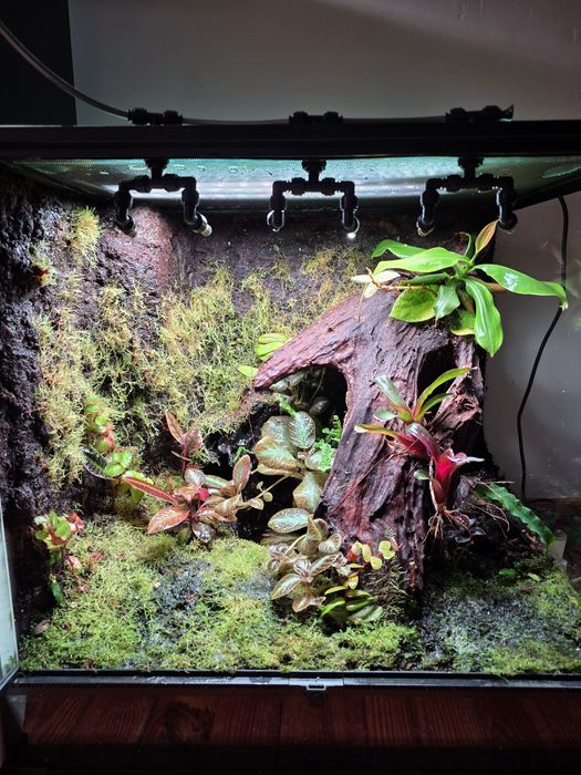 Paludarium Repti Planet 60x45x60