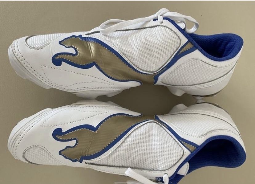 Кросівки чоловічі PUMA.