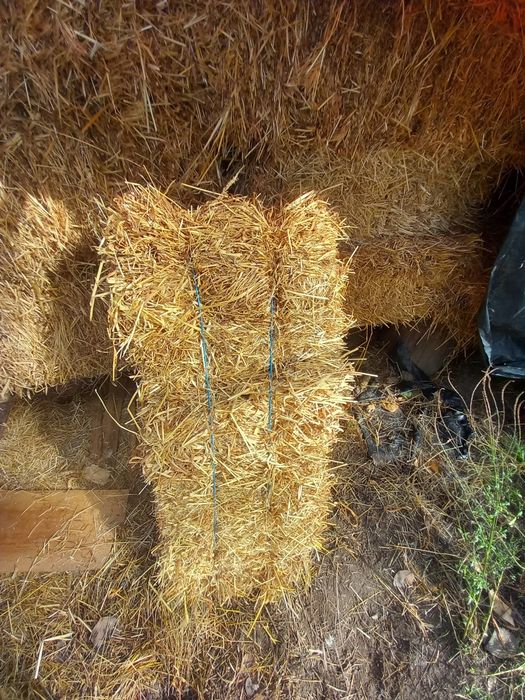 Vendo 400 fardos 4 euros cada