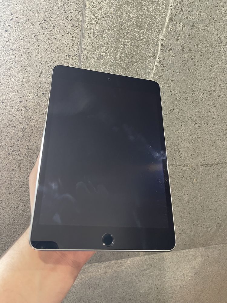 iPad Mini 4 16gb Wi-Fi Gray (94)