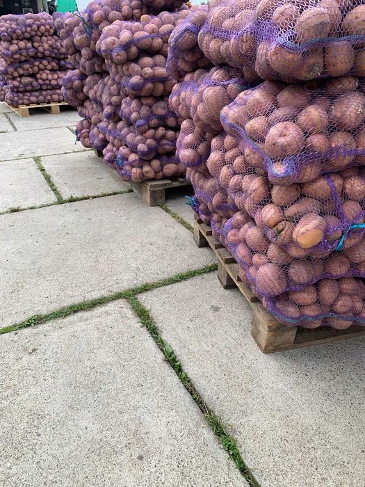 Оренда складу. Оренда торгового або складського приміщення. Буштино.