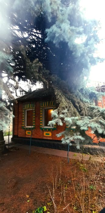 Оренда будинку + гараж