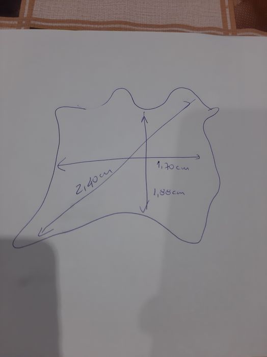 Carpete em Pele Vaca