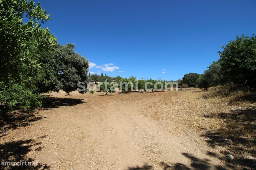 Terreno Rústico  Venda em Santa Bárbara de Nexe,Faro