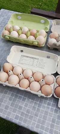 Wiejskie jajka ekologiczne