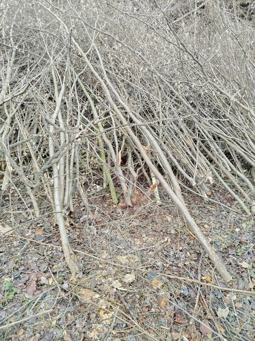 Oddam gałęzie poukładane do rębaka