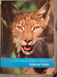 Ilustrowana encyklopedia zwierząt Polski