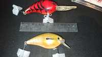 Amostras de pesca -  CRANKS