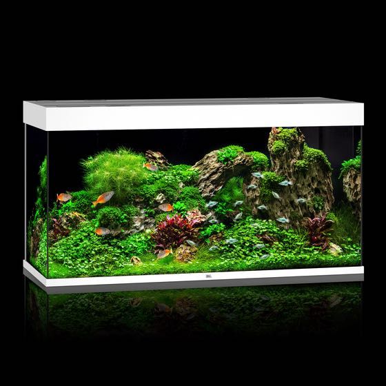 NOWE Akwarium Juwel Rio 350 LED, zestaw akwariowy