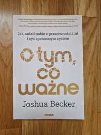 O tym, co ważne, Joshua Becker