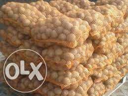 Ziemniaki jadalne Gala wineta Soraya Otolia Belarosa transport Faktura