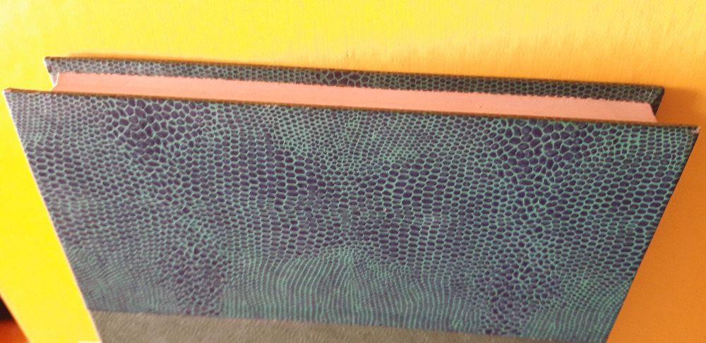 Ela Dançou um só Verão