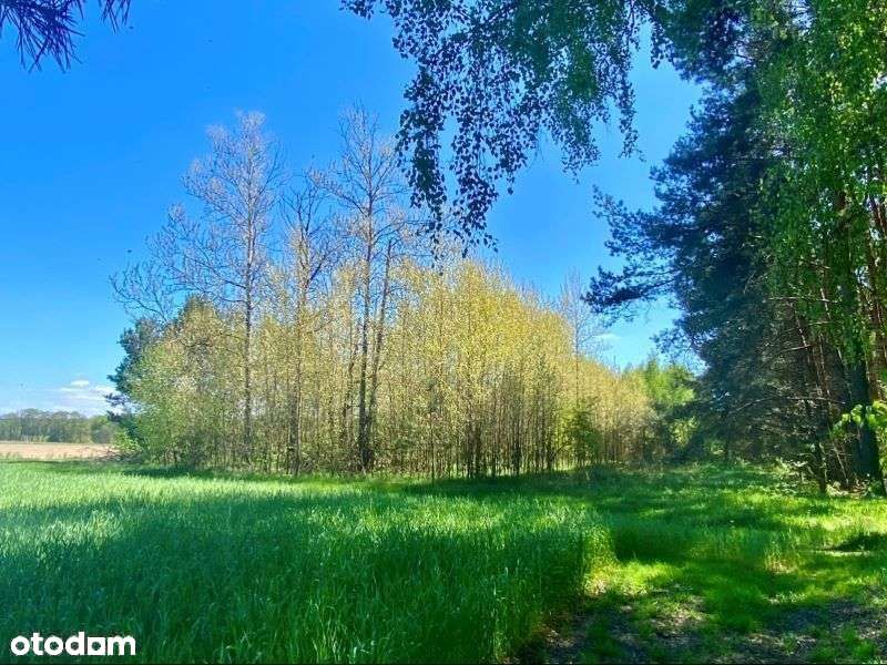 Atrakcyjna działka - Bolimowski Park Krajobrazowy