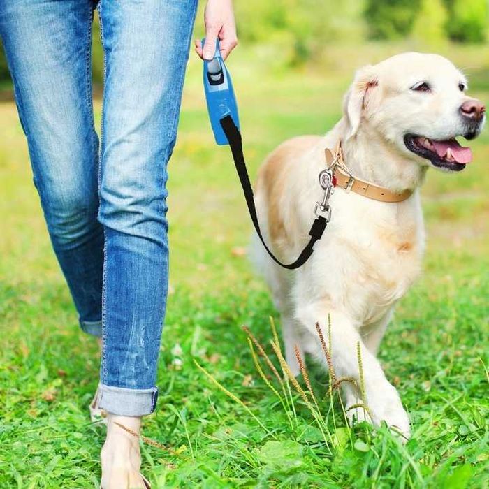 SMYCZ dla PSA KOTA AUTOMATYCZNA ZWIJANA Taśma z Blokadą 5m do 15 kg