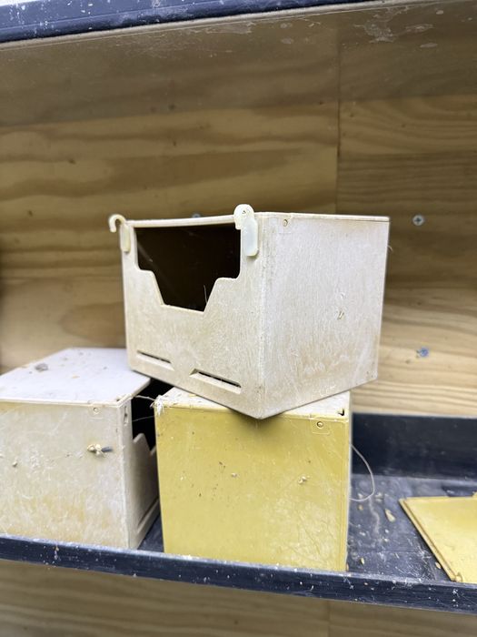 Periquitos mandarins  e gaiolas