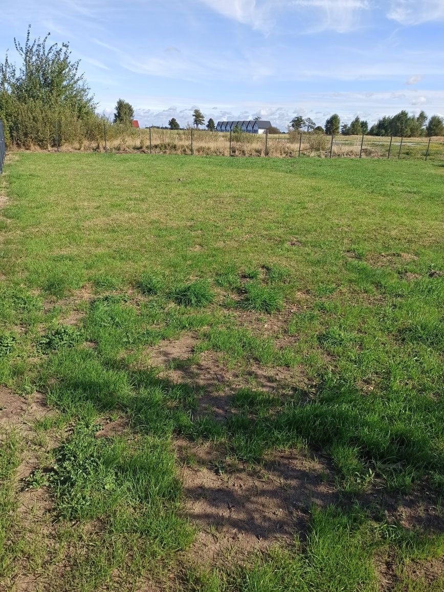 Wydzierżawię miejsce pod przyczepę kempingową, holenderkę, kamper