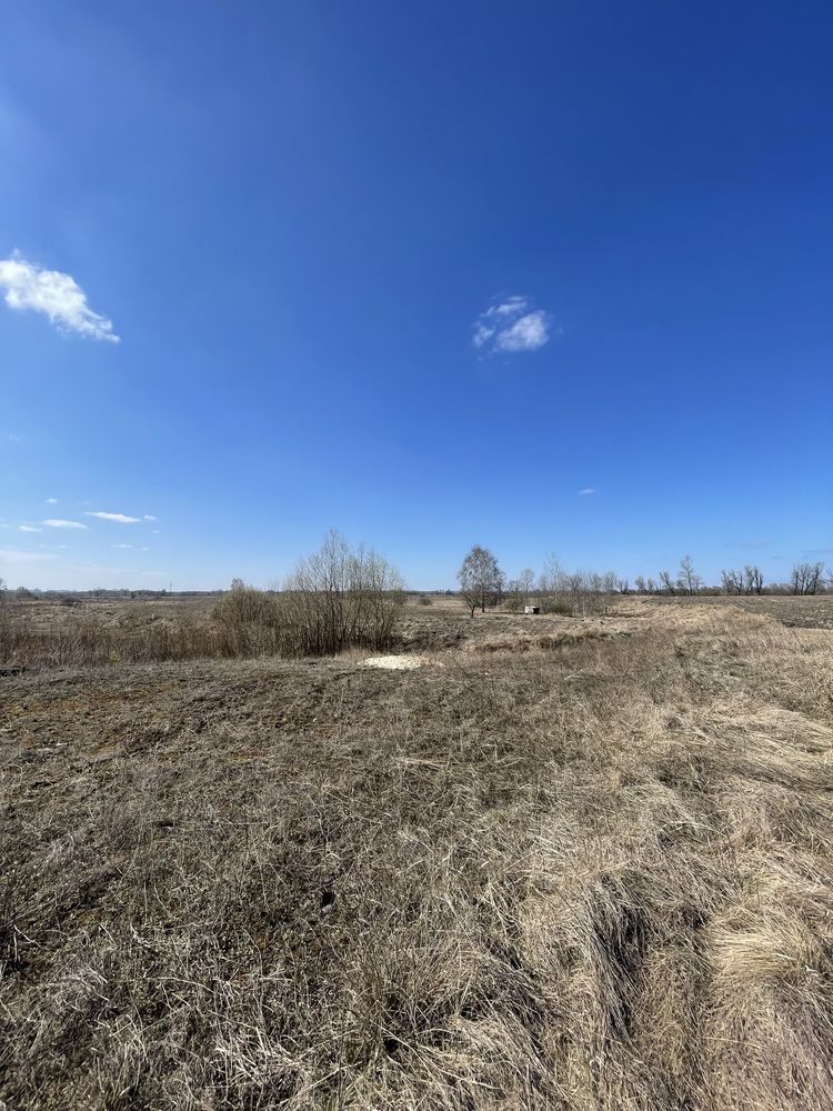 Продам ділянку 39 соток Погреби Броварський р-н