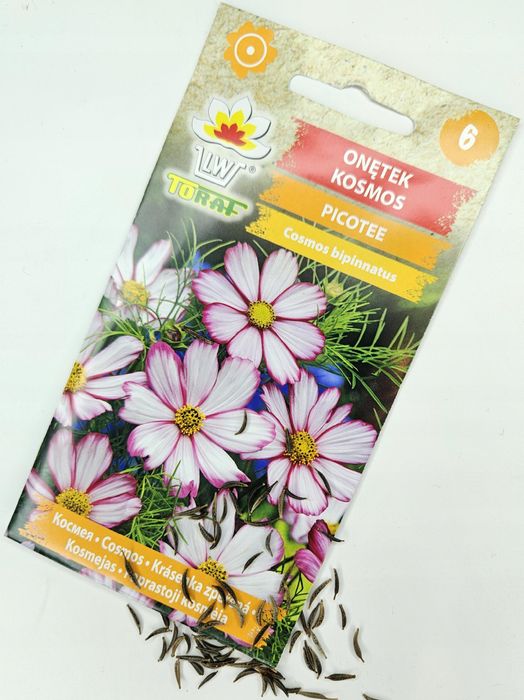 Onętek „Kosmos” PICOTEE (Cosmos Bipinnatus) nasiona 50 sztuk