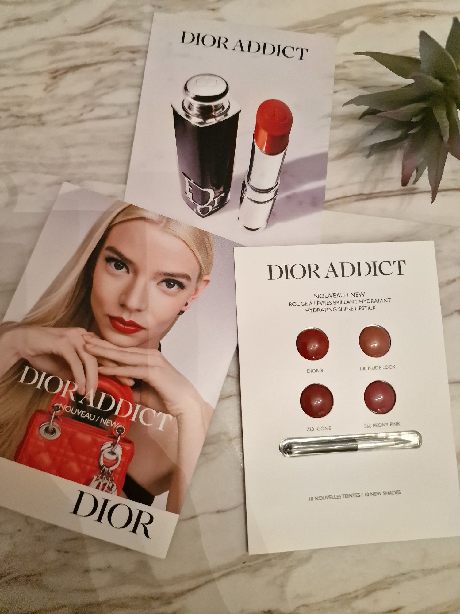 Zestaw próbnych pomadek Dior z pędzelkiem