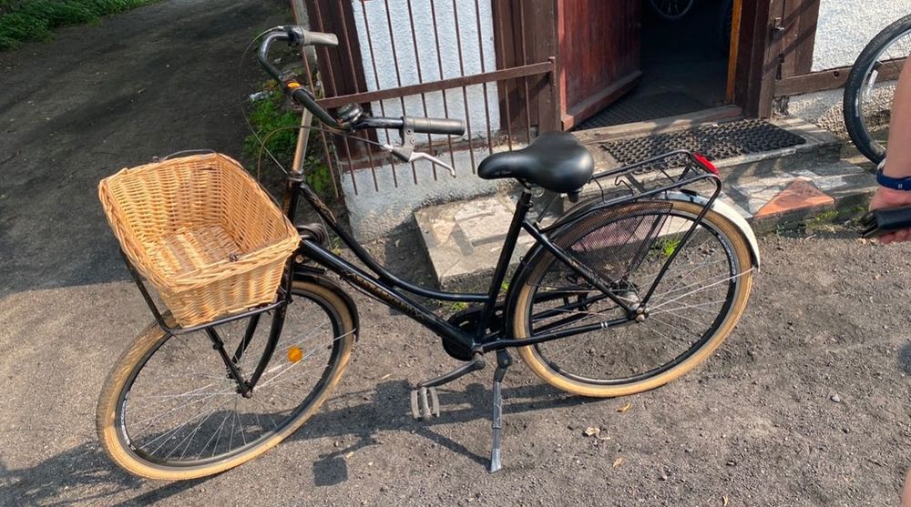 Rower damski Burghardt