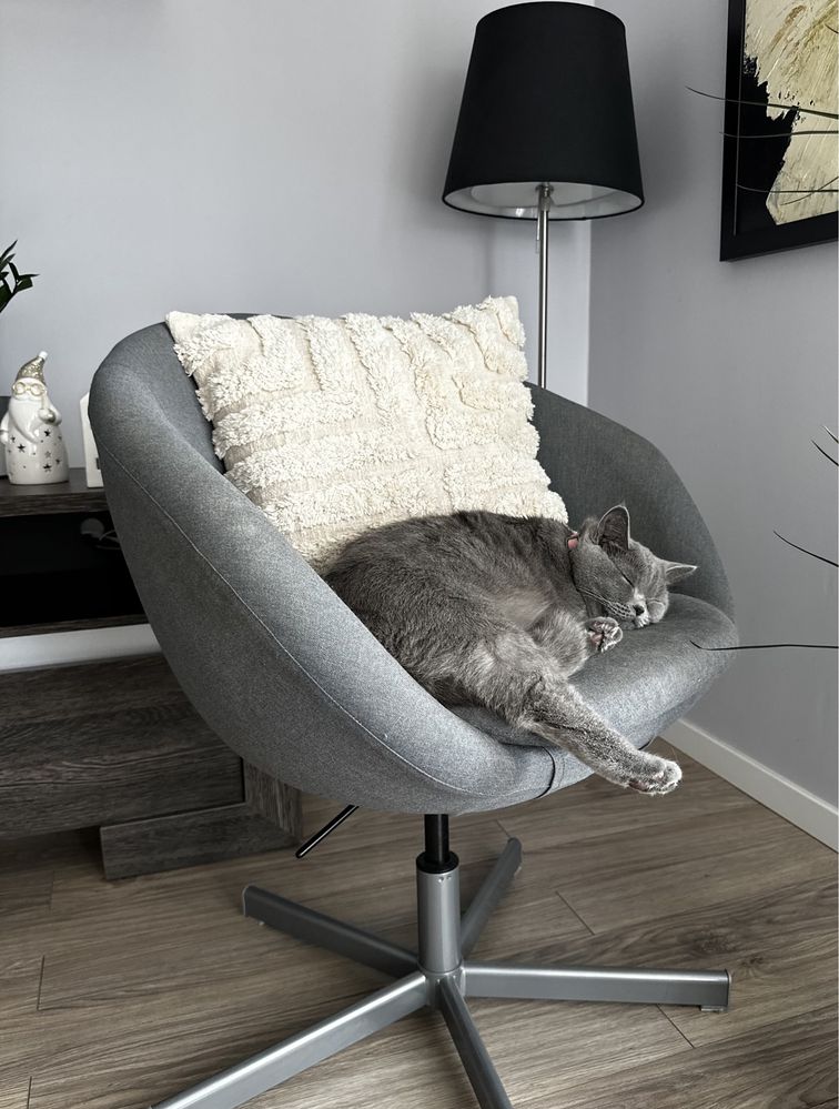Obrotowy fotel z regulowaną wysokością Skrustva marka Ikea