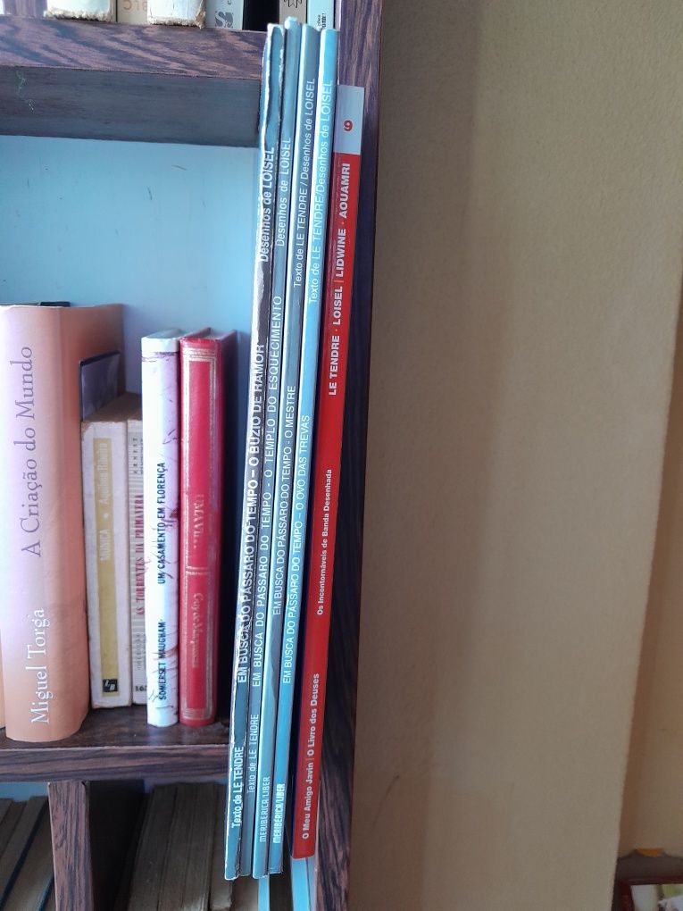 Em Busca do Passaro do Tempo Le Tendre, Loisel (Histórias Fantásticas)