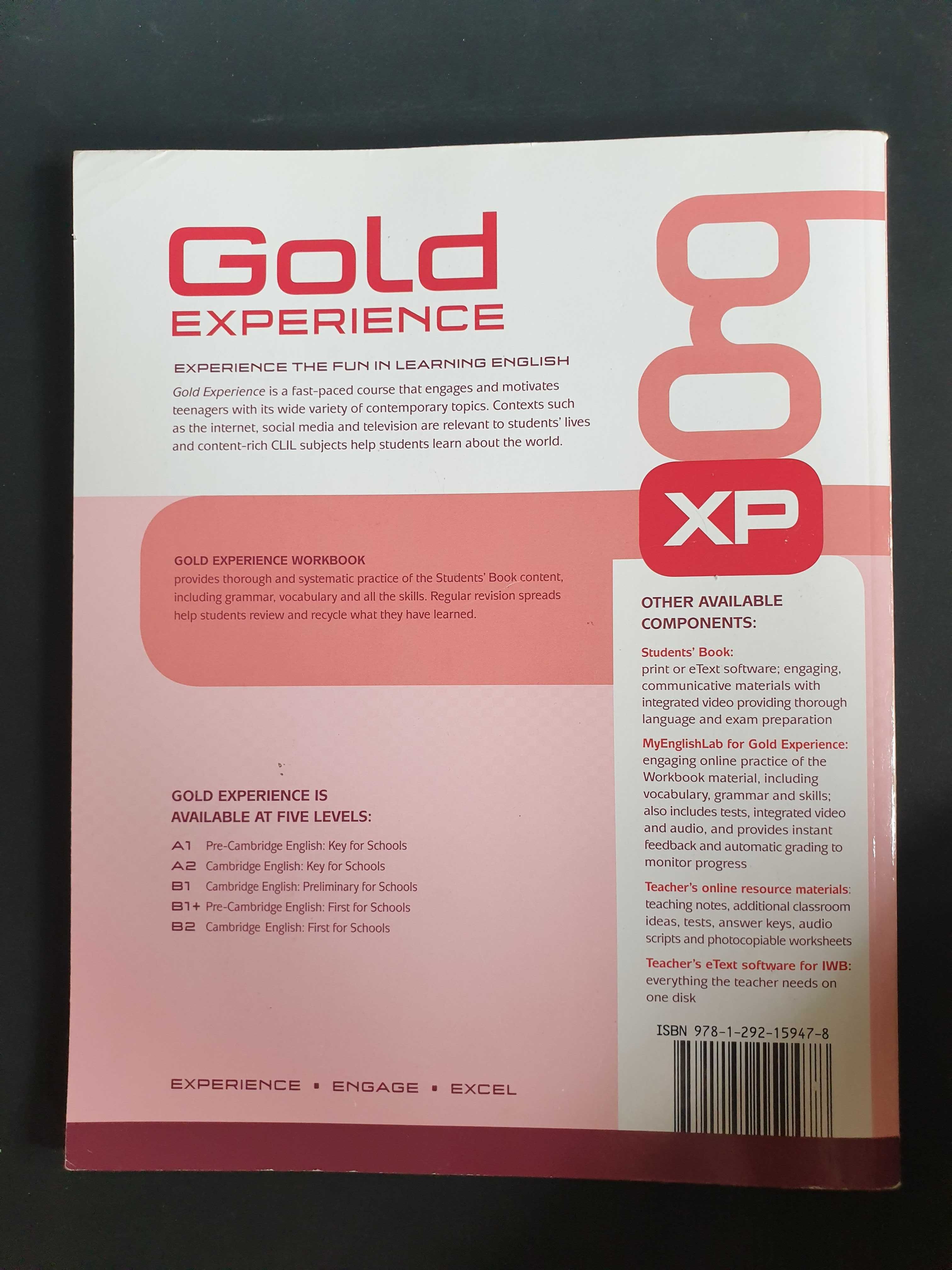 Ćwiczenia Gold experience B1 workbook język angielski