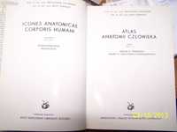 Atlas anatomii człowieka Stelmasiak Oselmak T. II