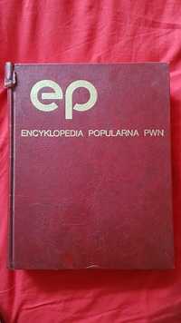 Encyklopedia popularna PWN.