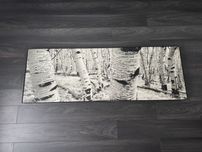 Duży obraz brzozy brzoza czarno-białe nowoczensy 149x52 cm