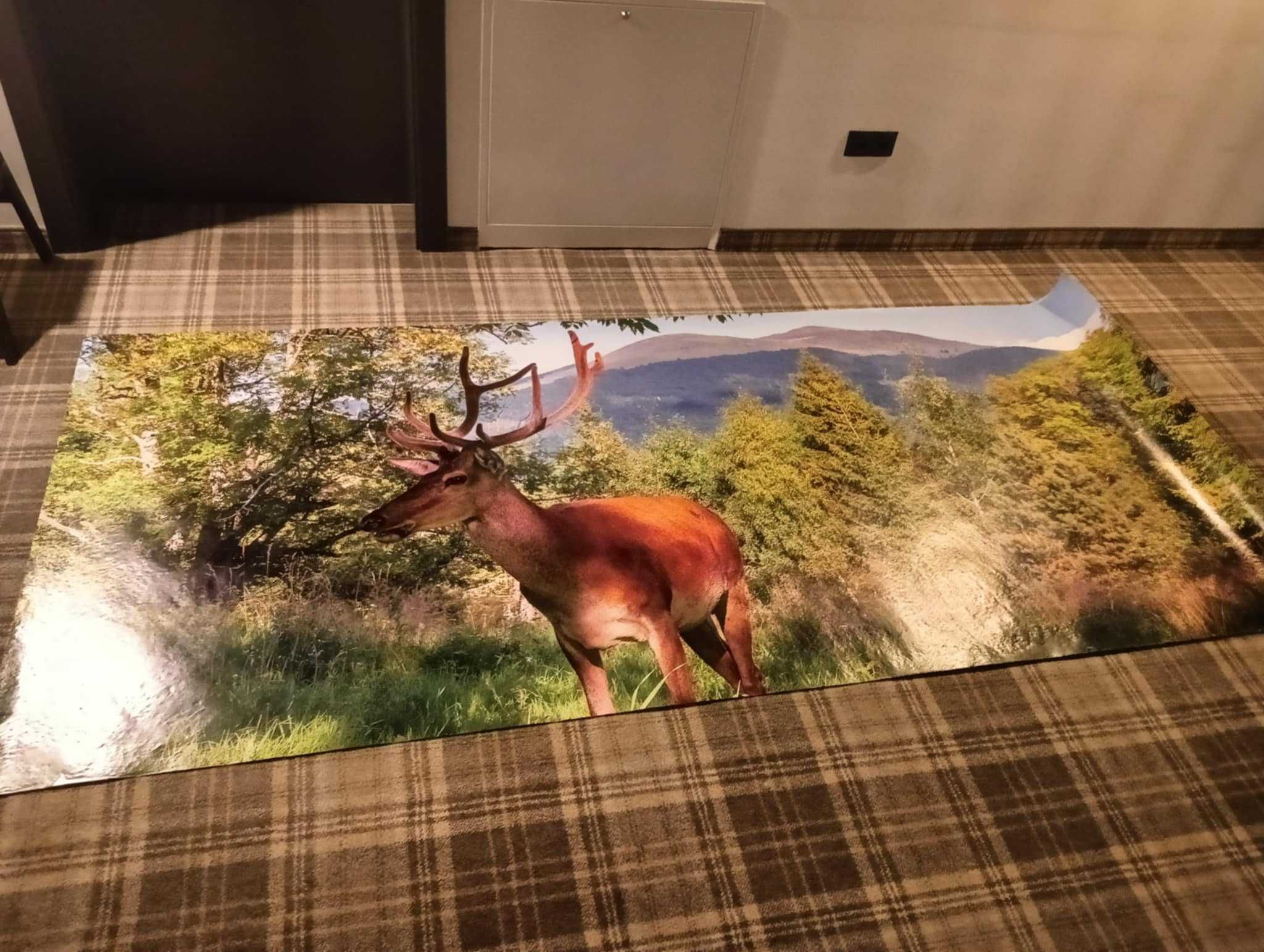 Fototapeta Bieszczady, Jeleń 290x130cm
