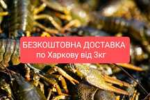 Раки Харків доставка