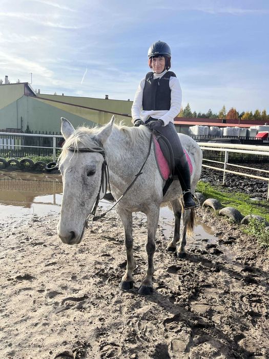 Klacz 19 l 100% bezpieczna 151 cm