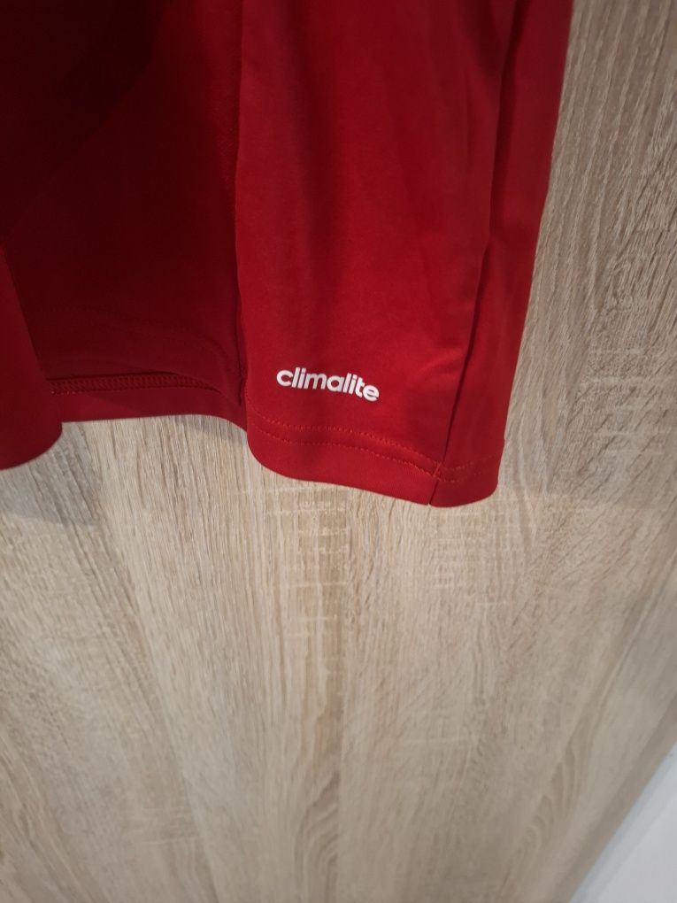Koszulka Adidas.