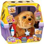 Tuluś Cobi szczeniaczek piesek pies ittle live pets