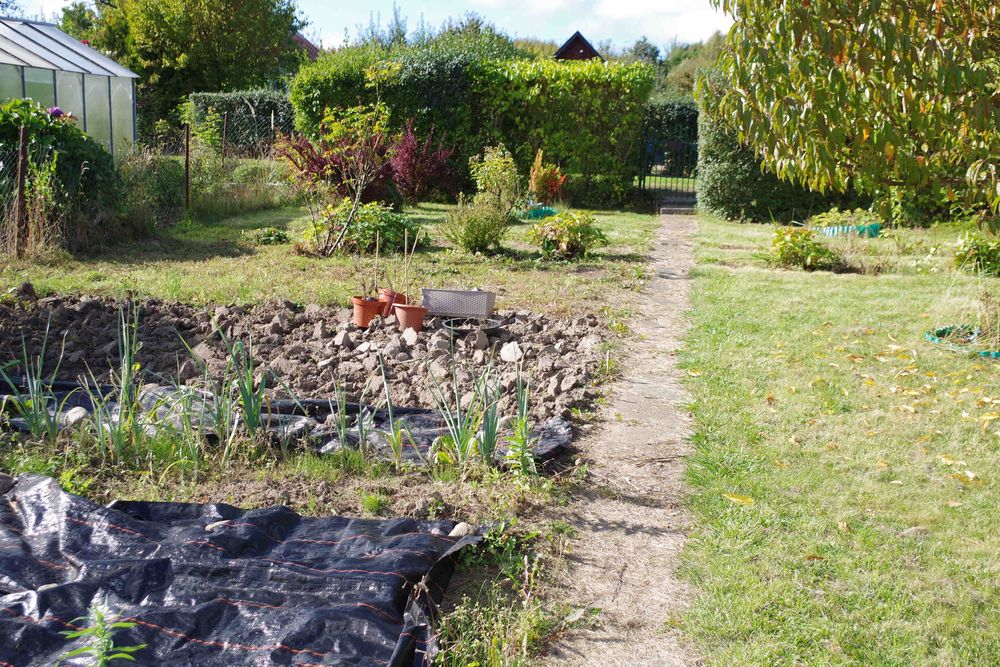 Działka Jamno ROD "Kwitnących jabłoni" z dużym potencjałem